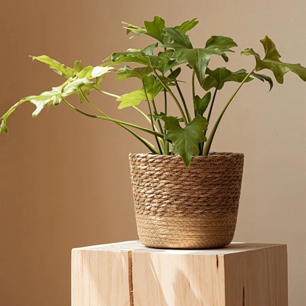 Handwoven Straw Pot Basket