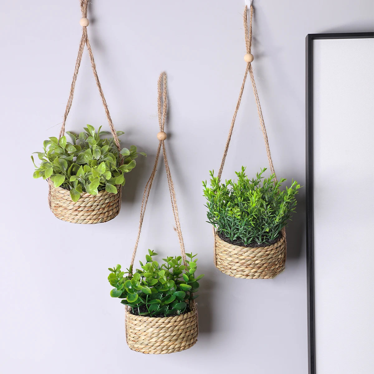 Woven Rosemary and Grass Potted Arrangement