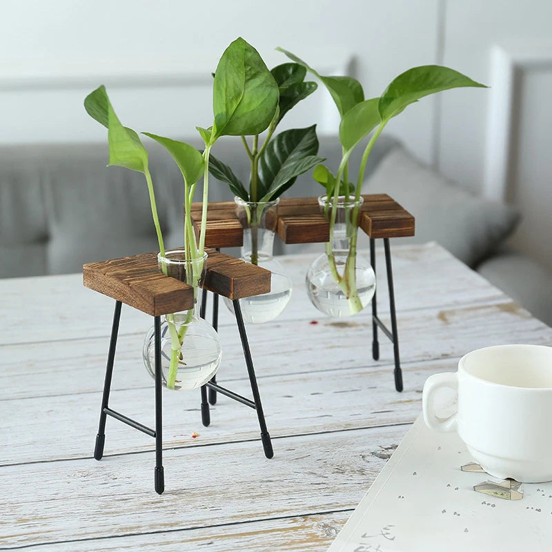 Wooden Frame Glass Bulb Planter Vase