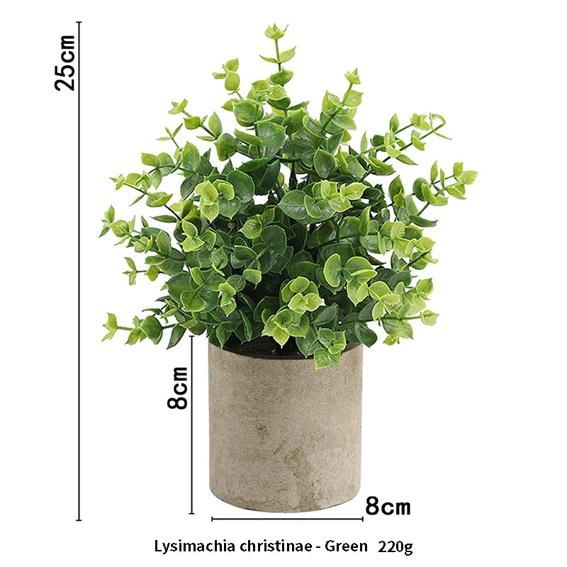 Eucalyptus Mini Planter