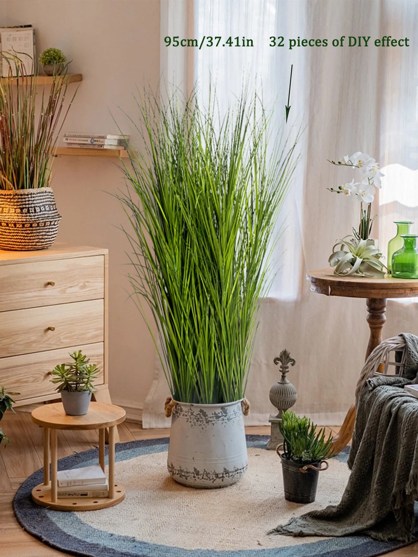 Tropical Grass Plant