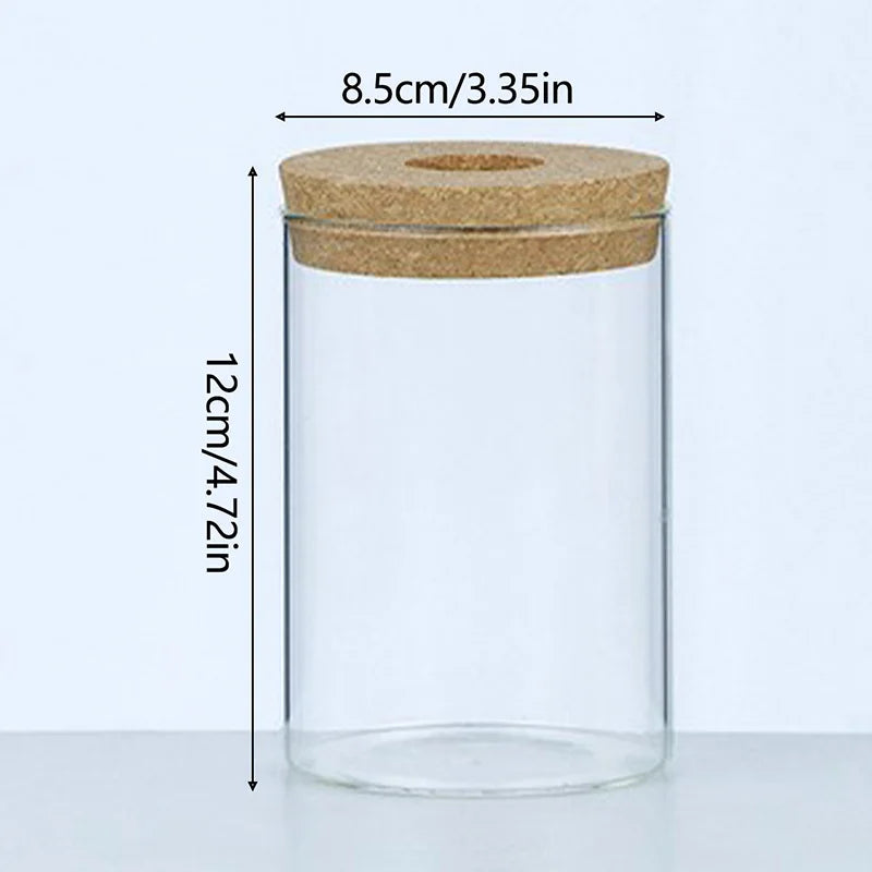 Sleek Transparent Plant Vase