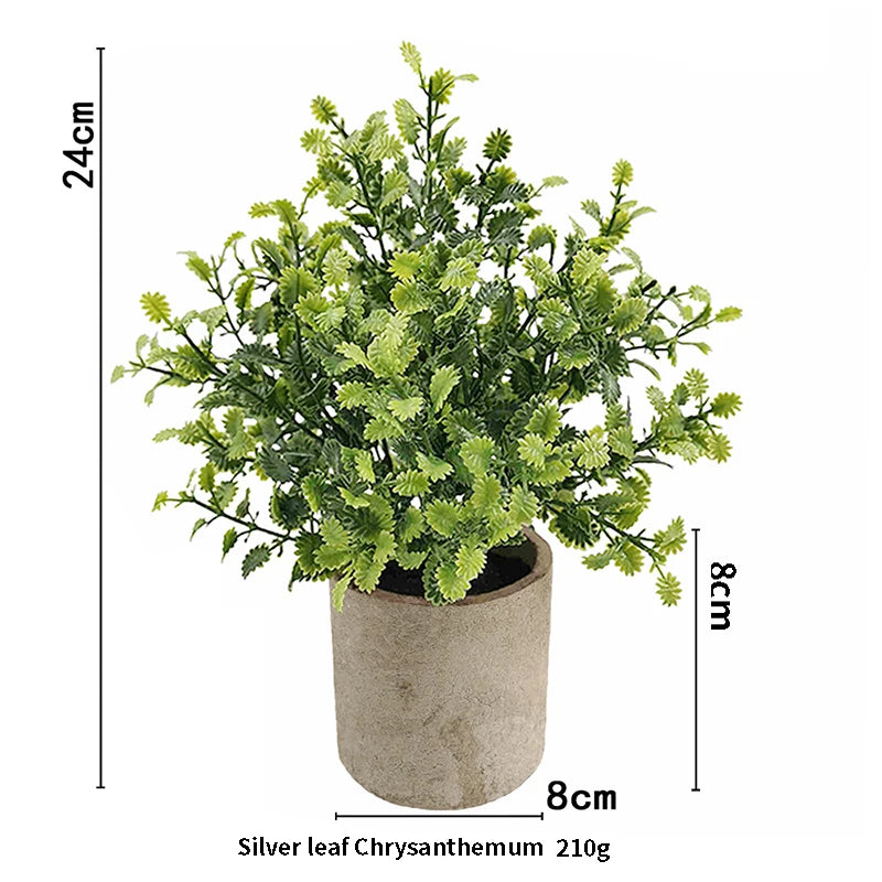 Eucalyptus Mini Planter