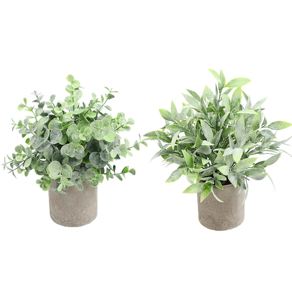 Eucalyptus Mini Planter