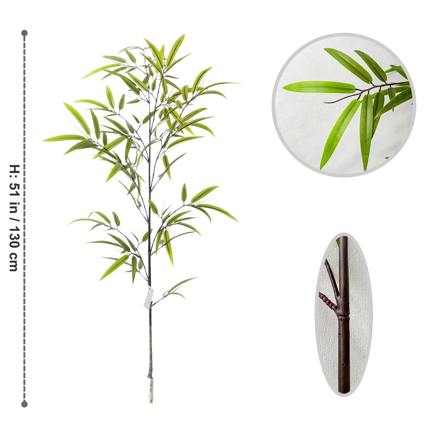 Wild Grove Bamboo Leaves