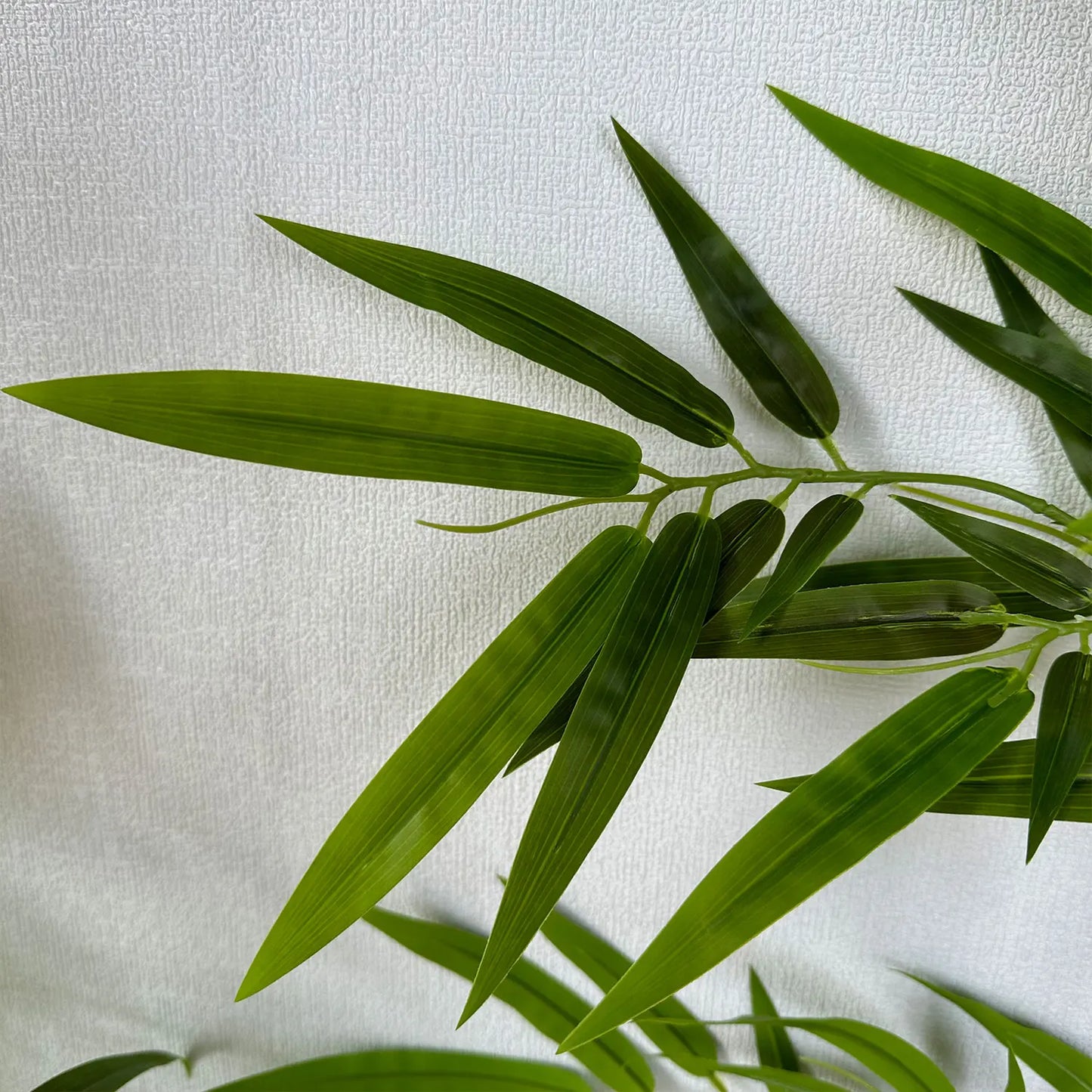 Wild Grove Bamboo Leaves