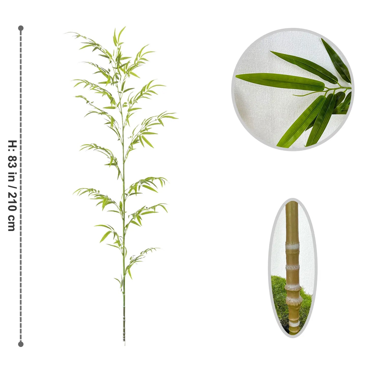 Wild Grove Bamboo Leaves