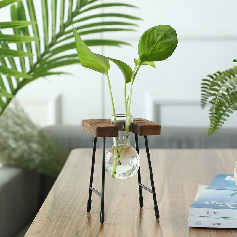 Wooden Frame Glass Bulb Planter Vase
