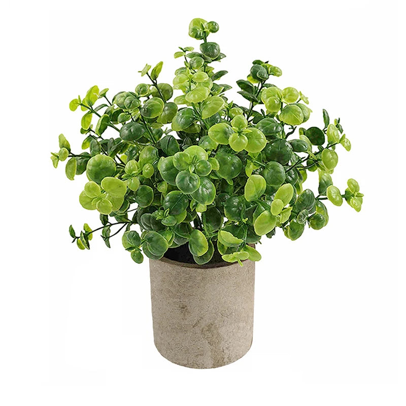 Eucalyptus Mini Planter