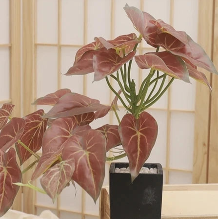 Palm Grove Leaf Display