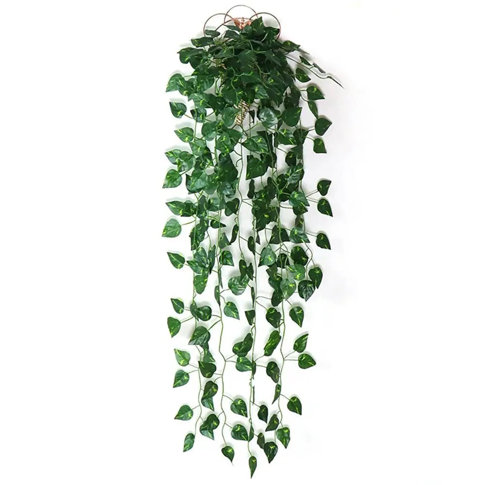 Potted Hanging Vine Plant Display