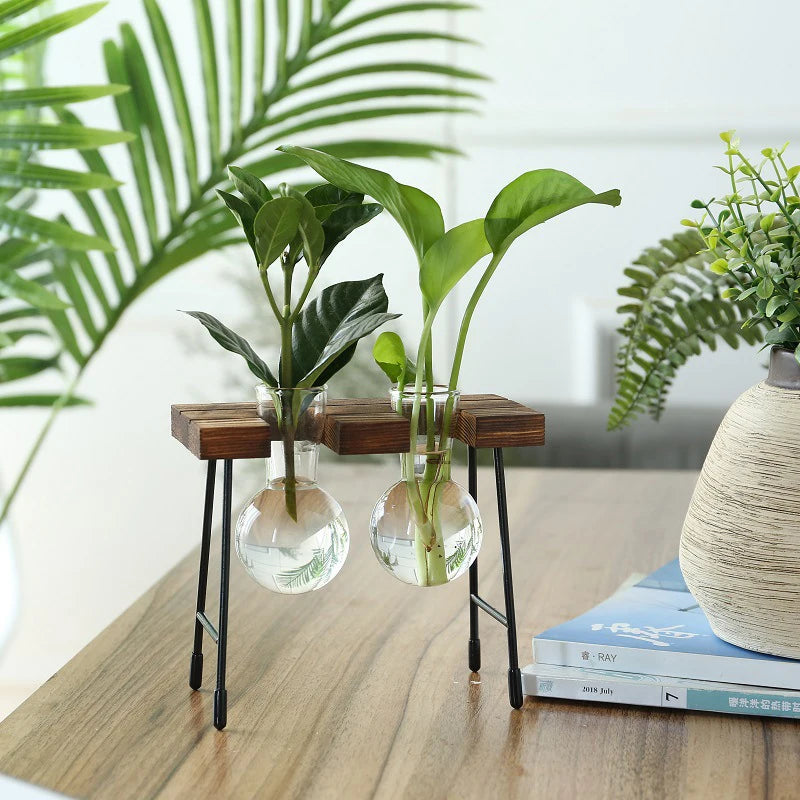 Wooden Frame Glass Bulb Planter Vase