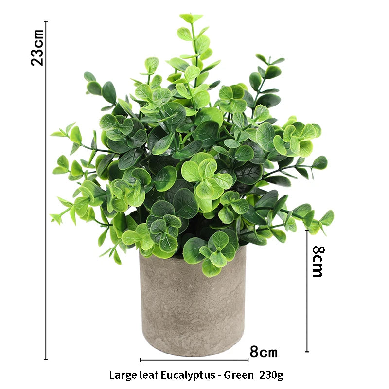 Eucalyptus Mini Planter