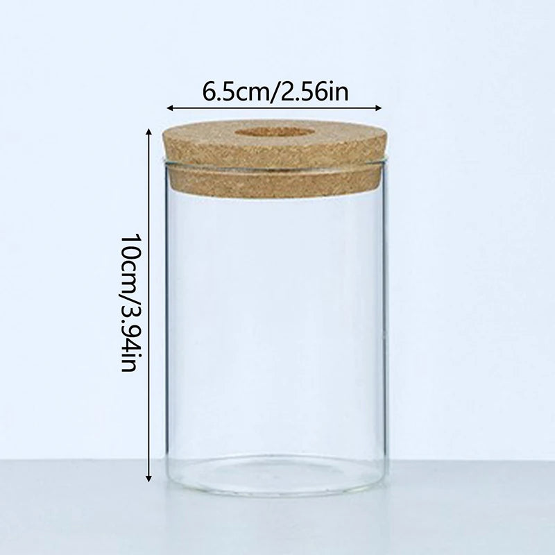 Sleek Transparent Plant Vase