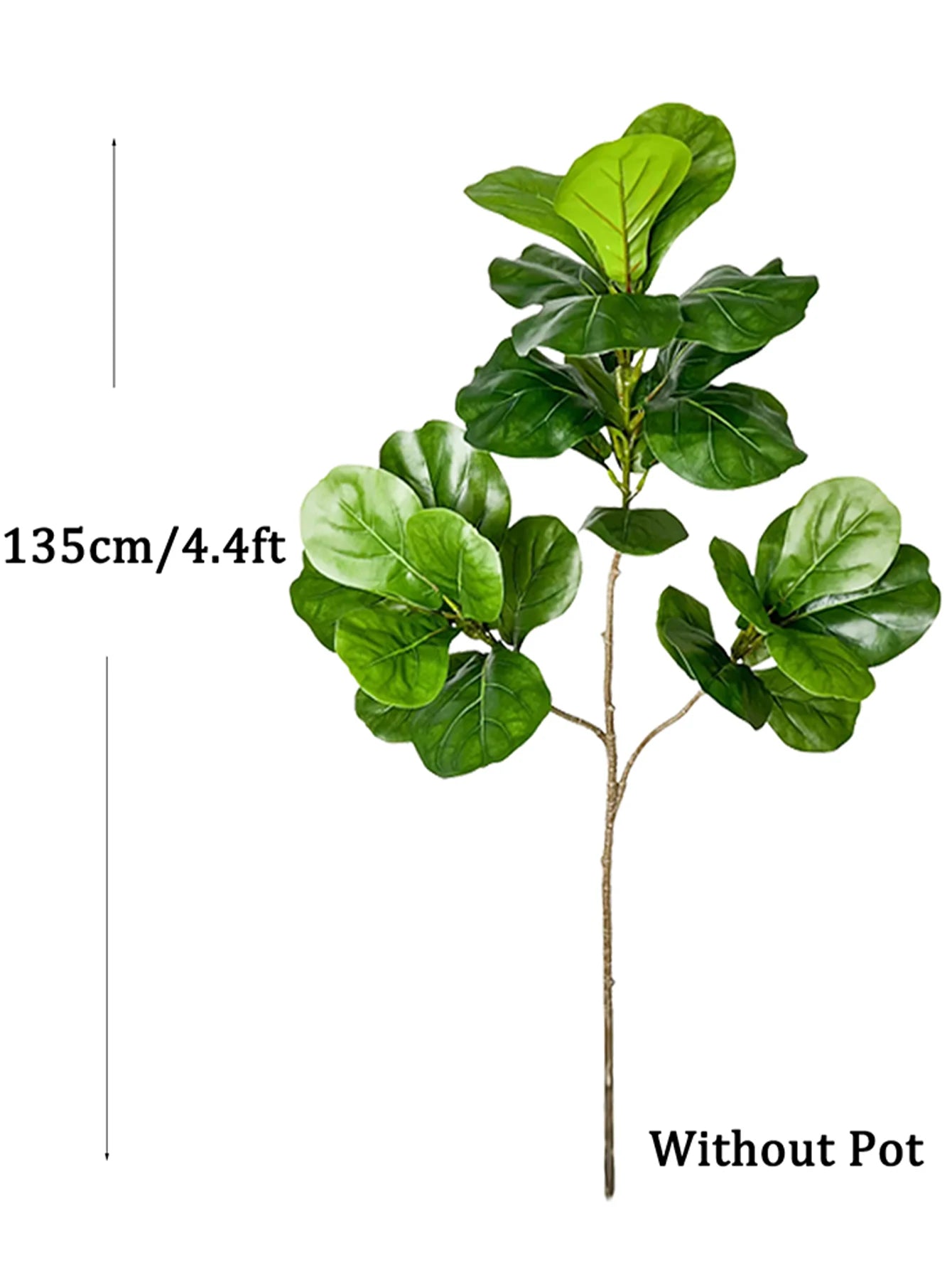 Decorative Ficus Tree