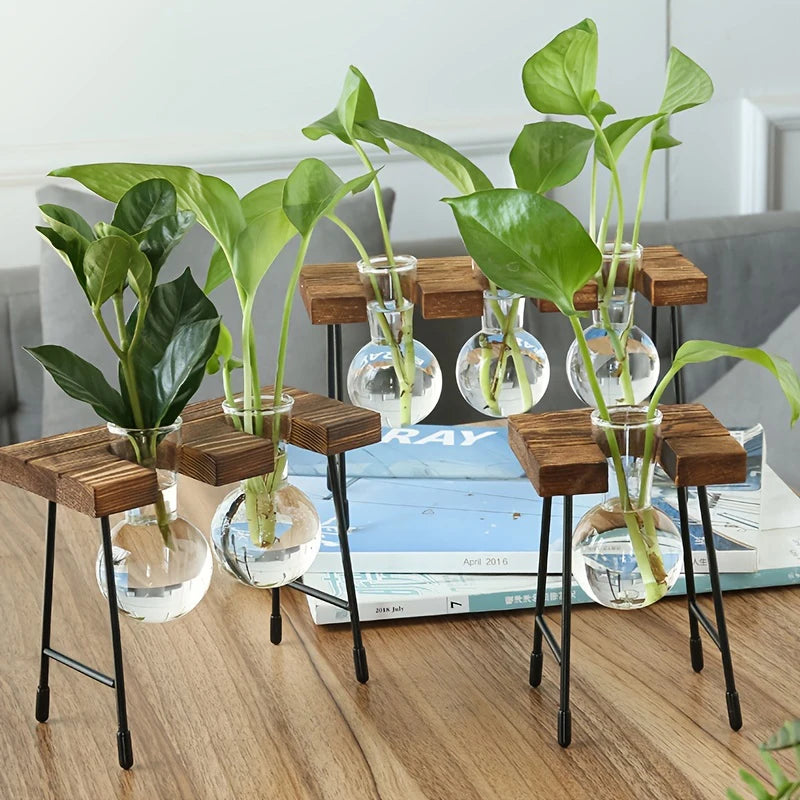 Wooden Frame Glass Bulb Planter Vase
