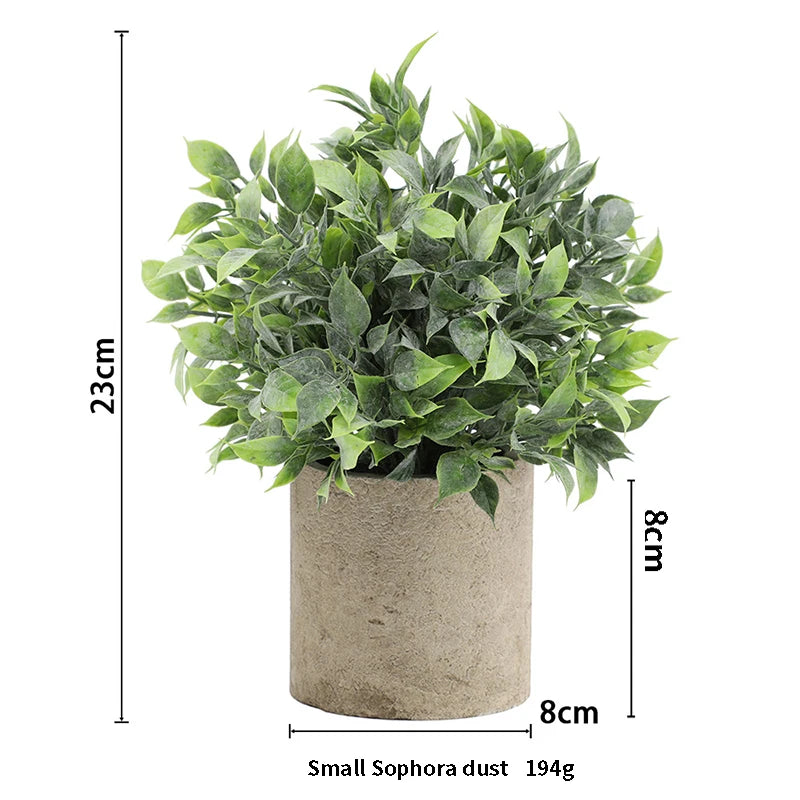 Eucalyptus Mini Planter