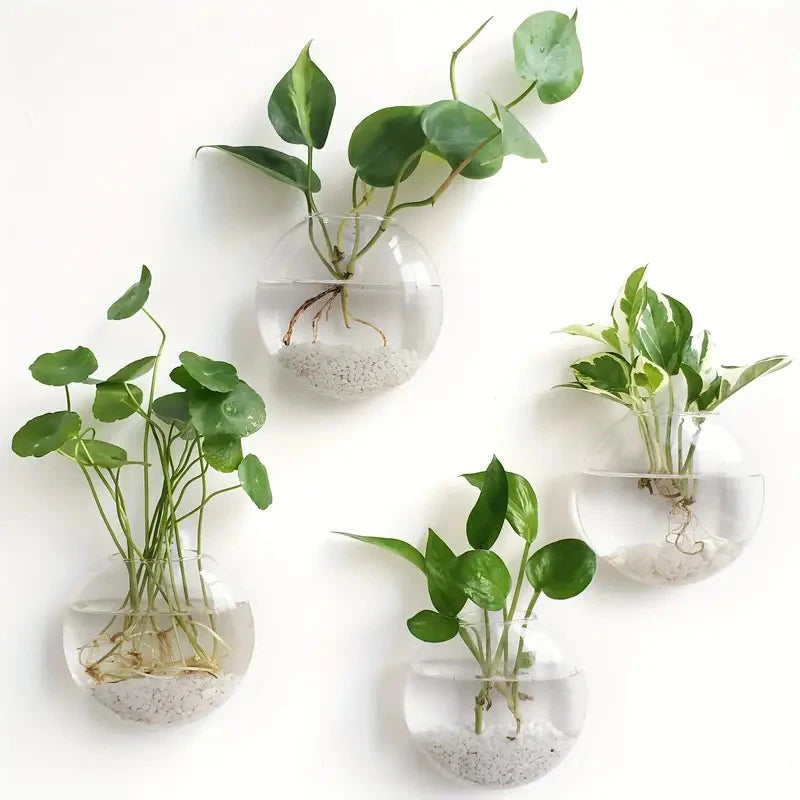 Boho Wall Mounted Terrarium Vase