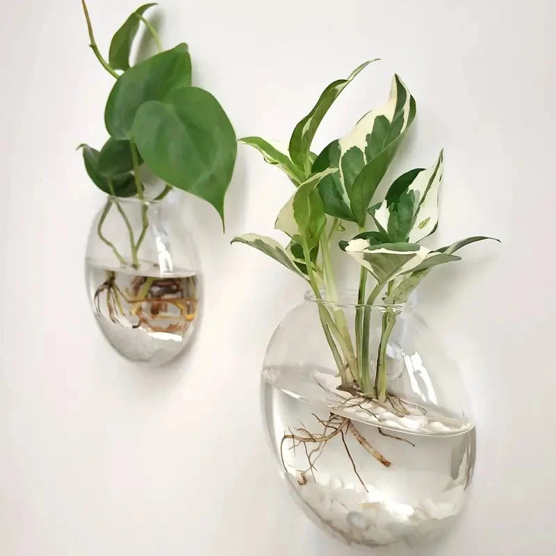 Boho Wall Mounted Terrarium Vase