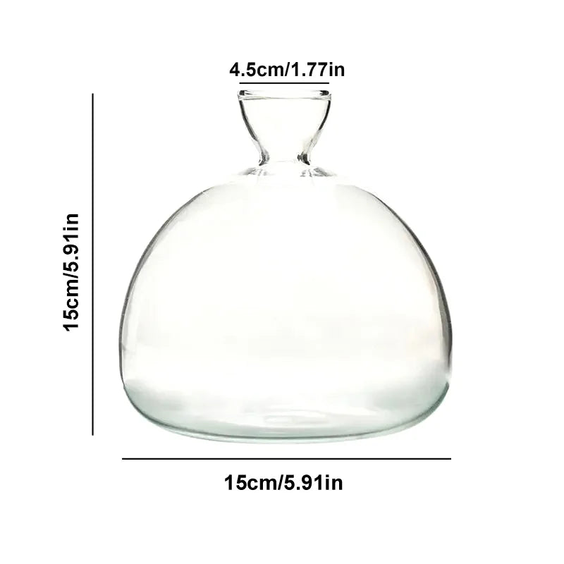 Transparent Glass Seed Vase
