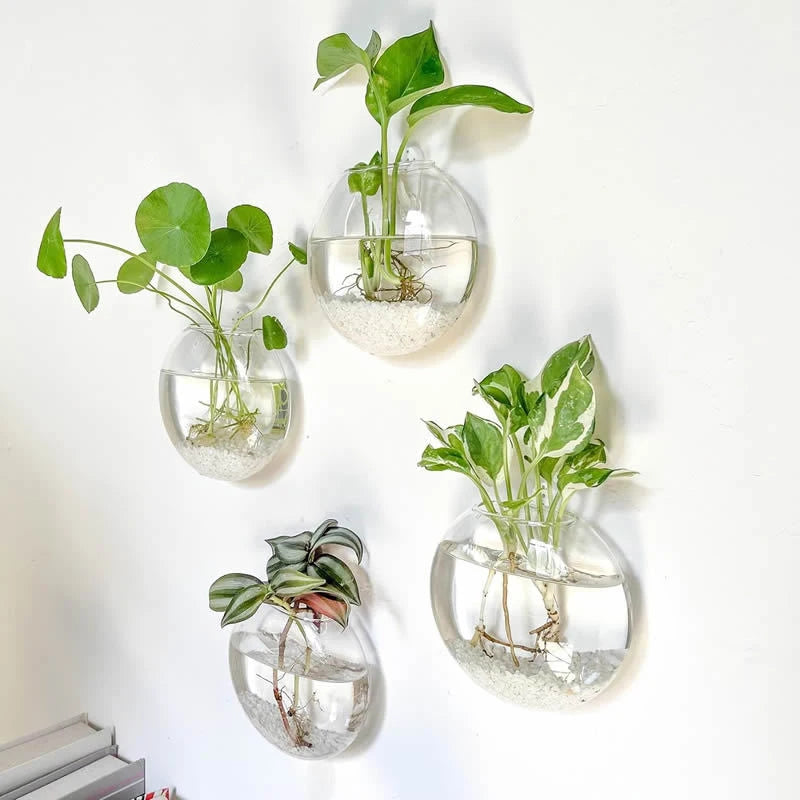 Boho Wall Mounted Terrarium Vase