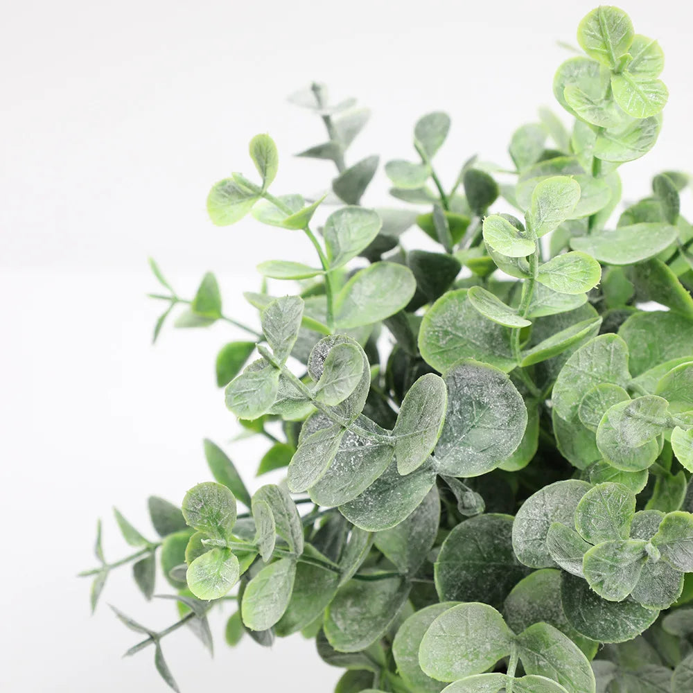 Eucalyptus Mini Planter