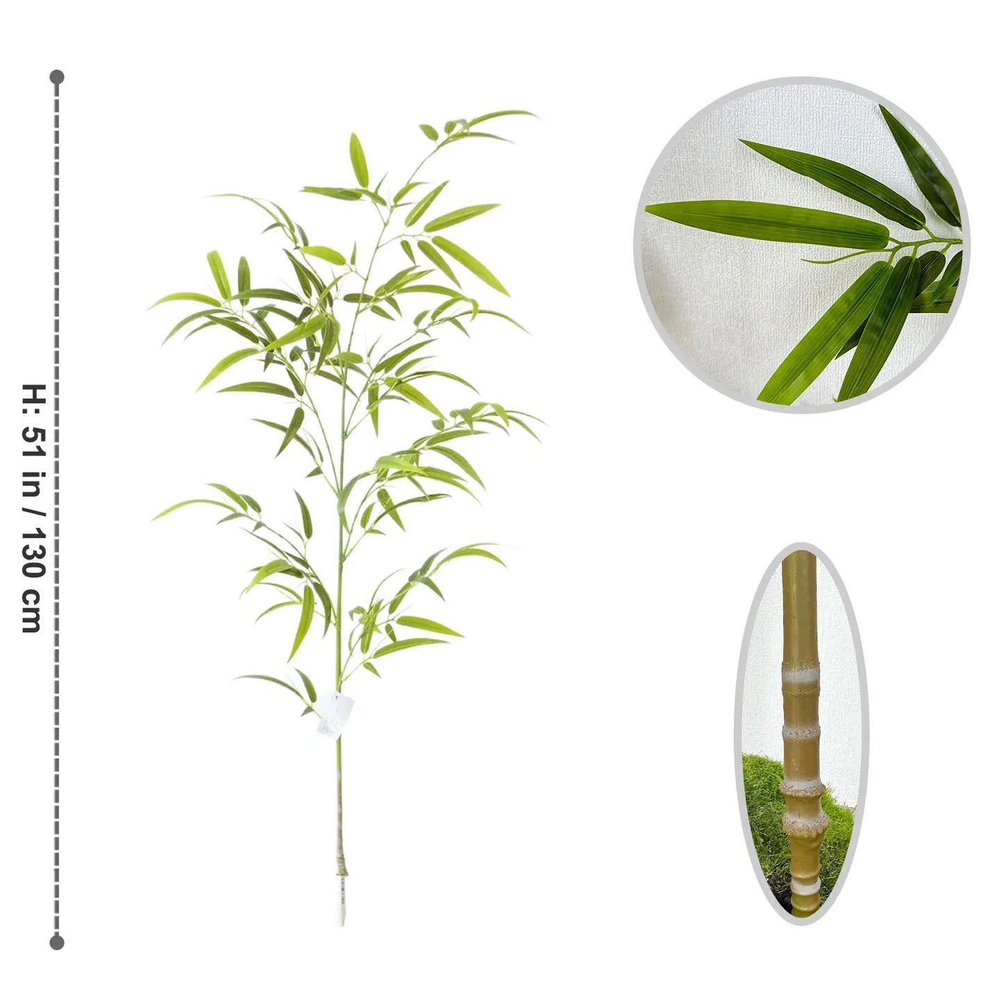 Wild Grove Bamboo Leaves