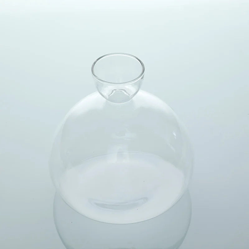 Transparent Glass Seed Vase