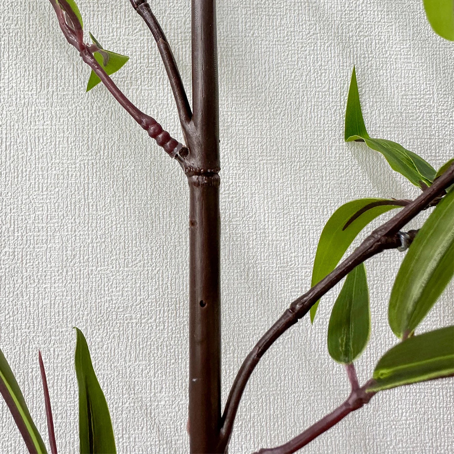 Wild Grove Bamboo Leaves