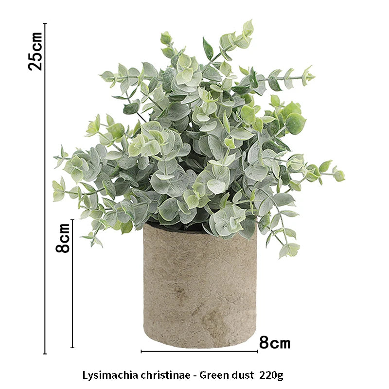 Eucalyptus Mini Planter