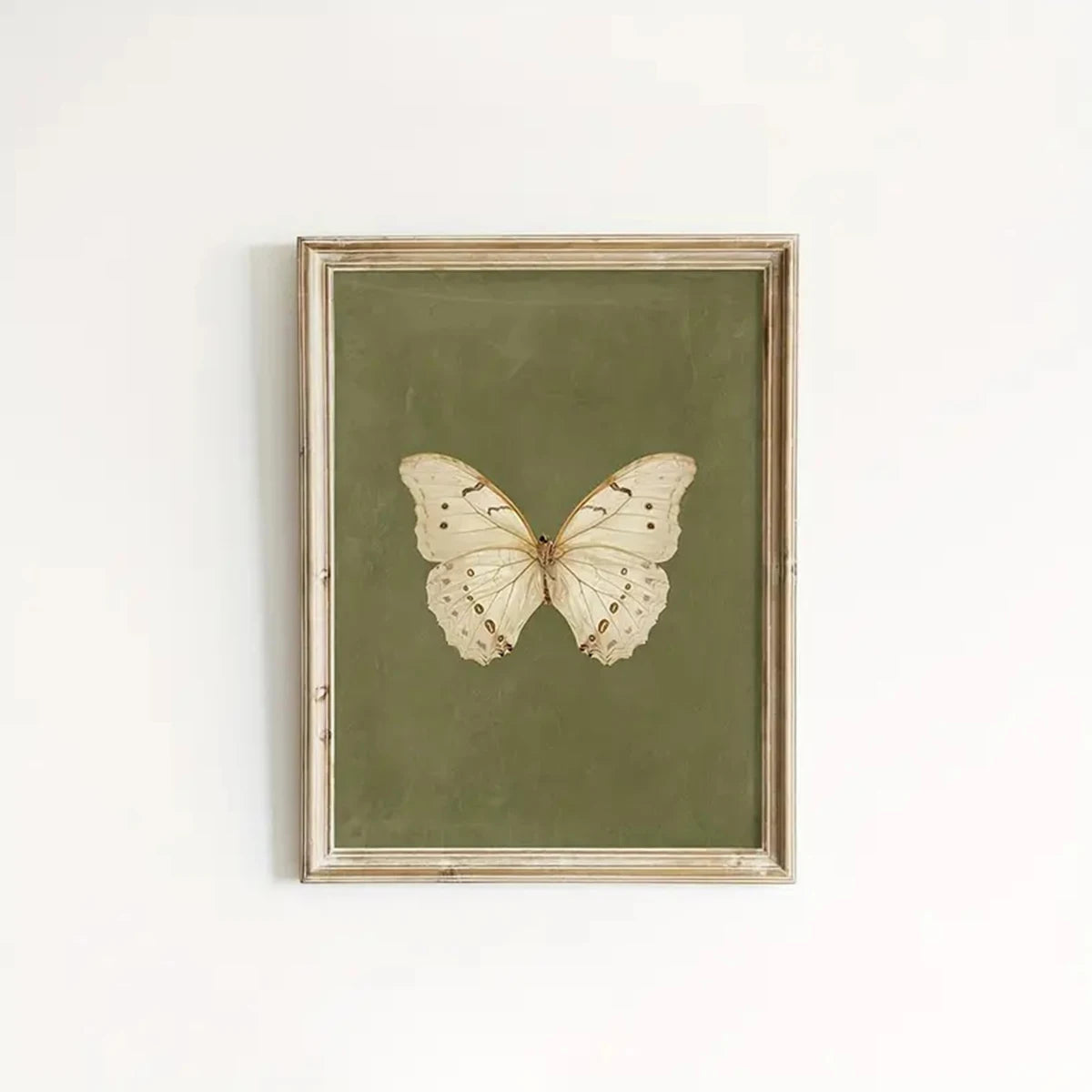 Vintage Butterfly Canvas Wall Art