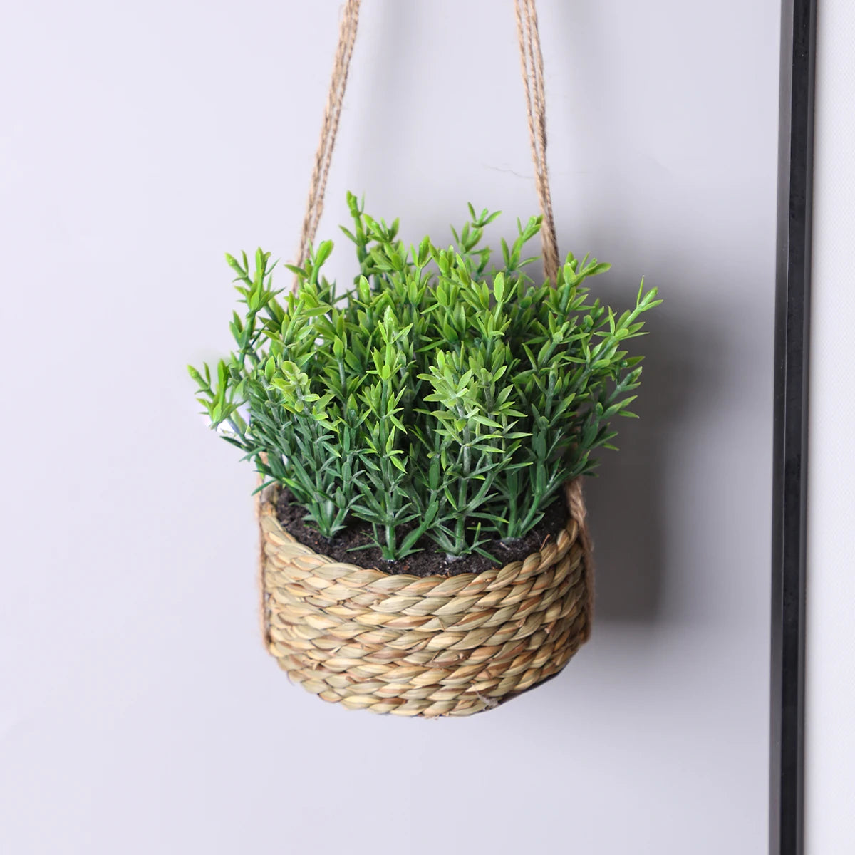Woven Rosemary and Grass Potted Arrangement