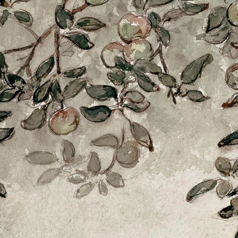 Botanical Apple Branch Sketch