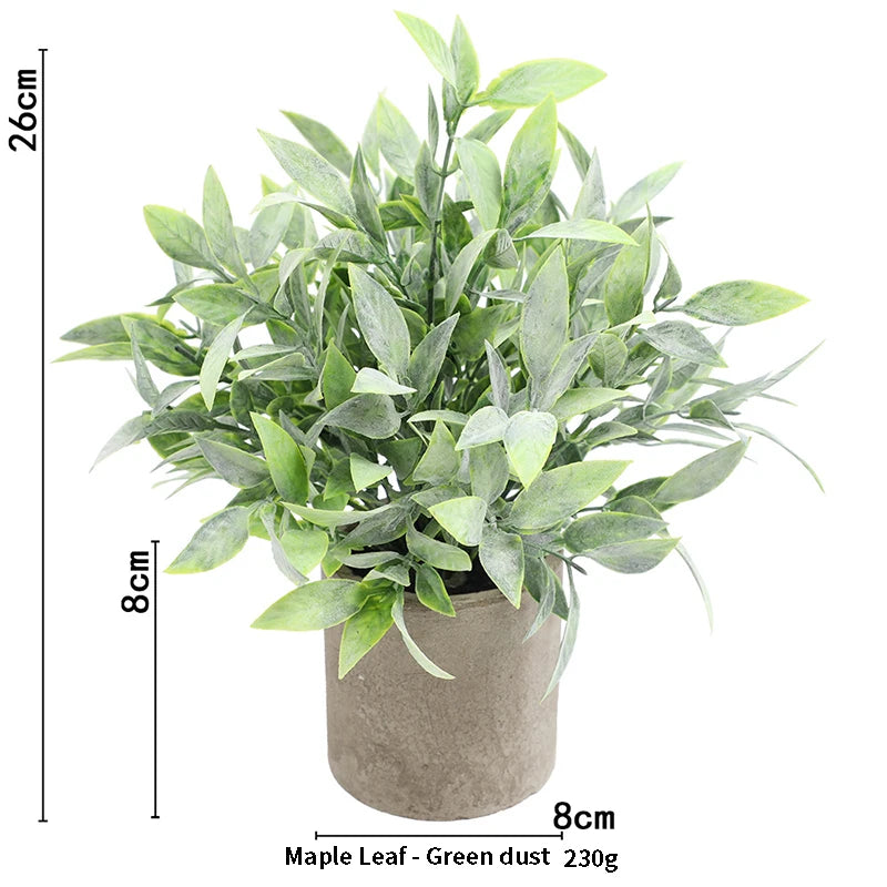Eucalyptus Mini Planter