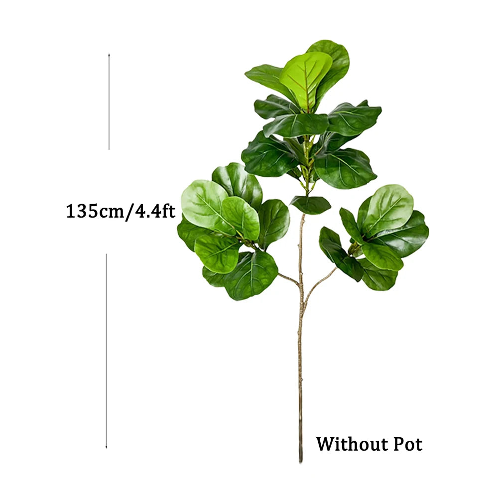 Decorative Ficus Tree