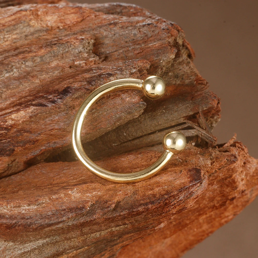 Classic Buckle Earring