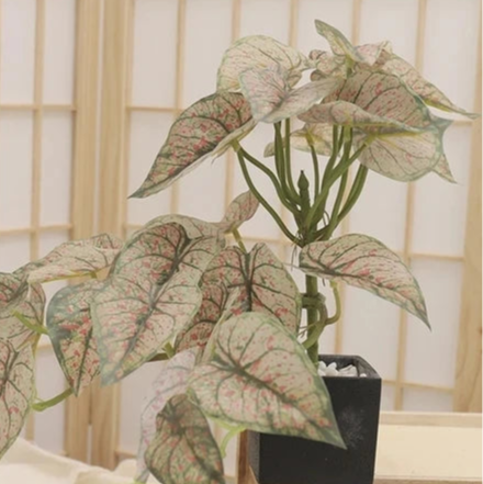 Palm Grove Leaf Display