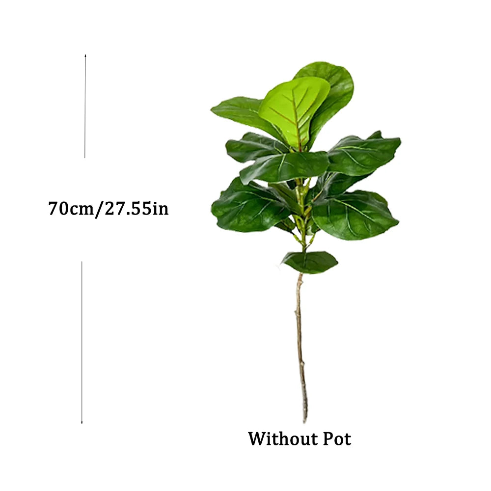 Decorative Ficus Tree