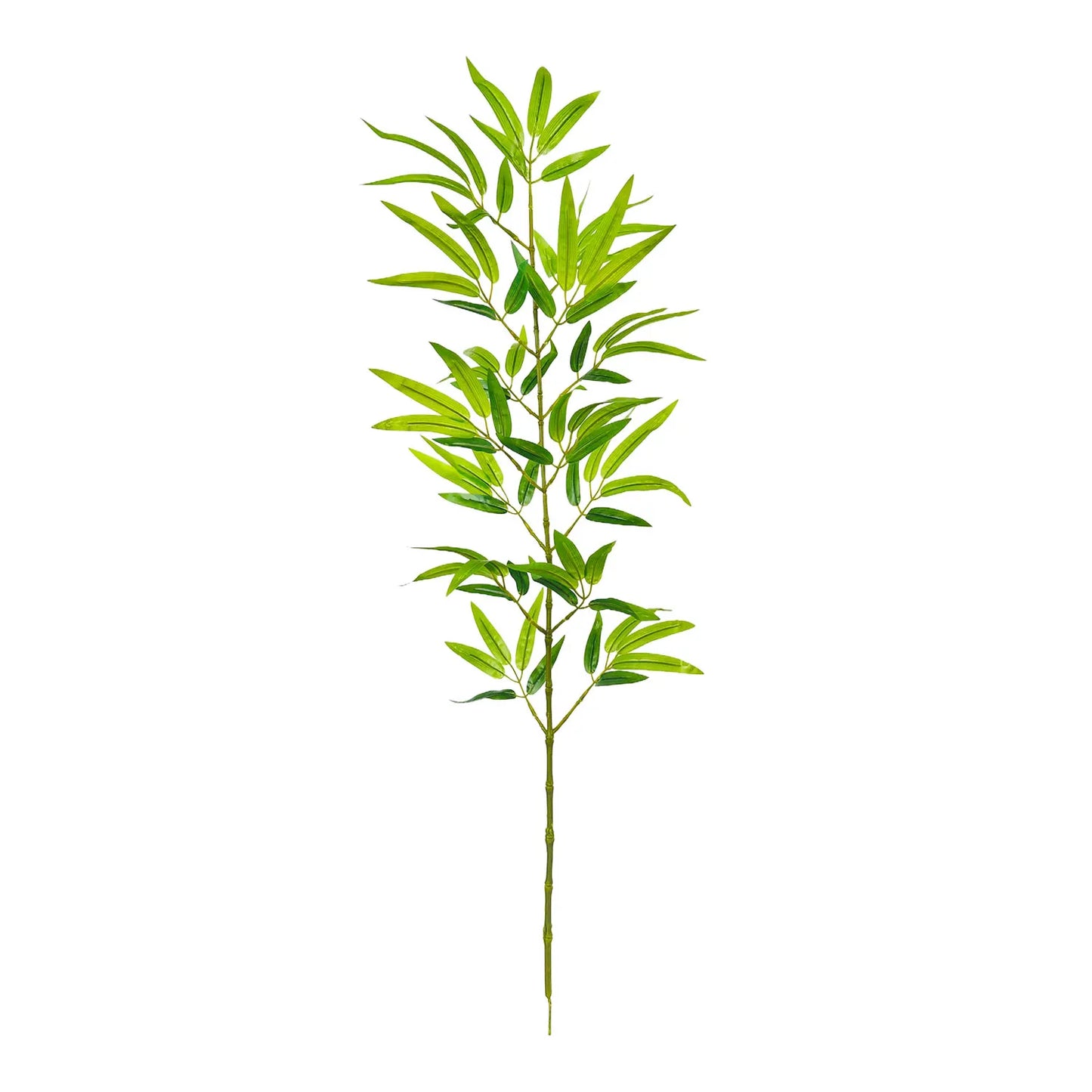Wild Grove Bamboo Leaves