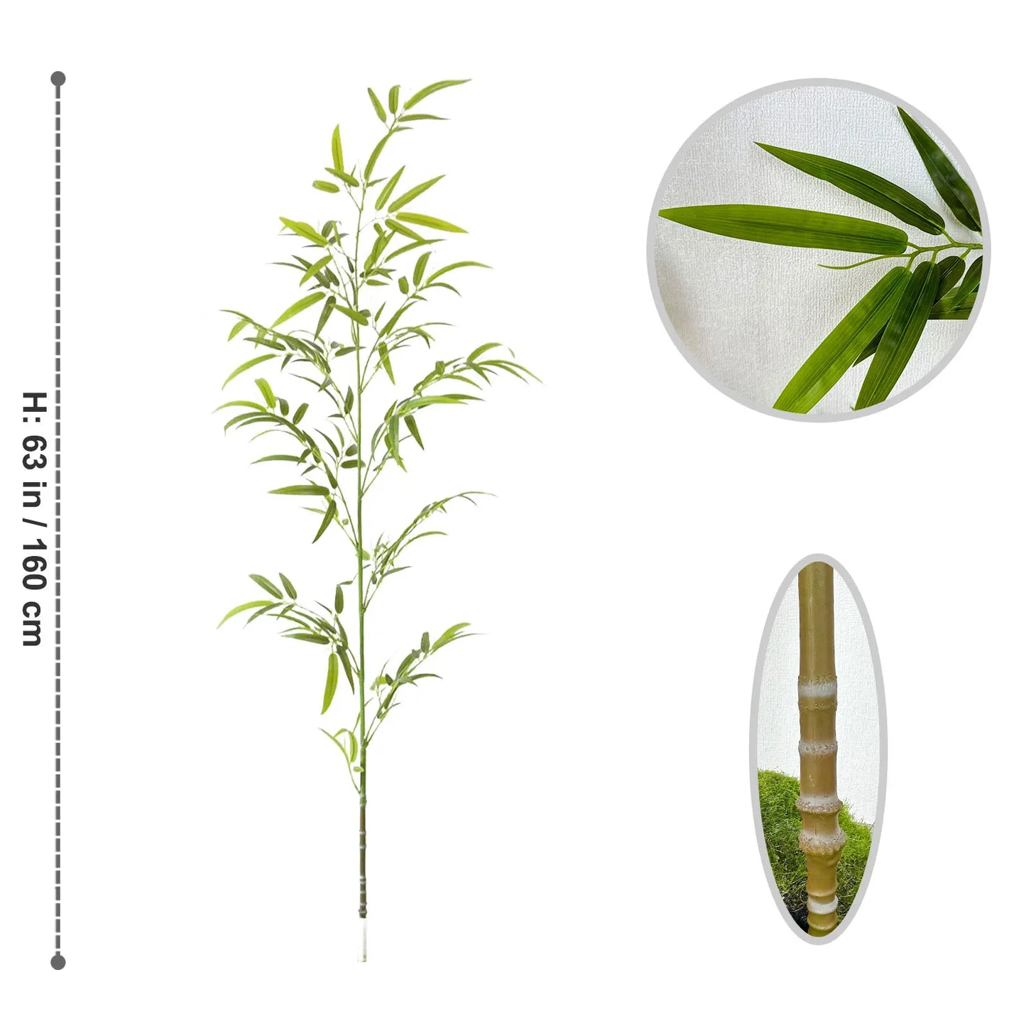 Wild Grove Bamboo Leaves