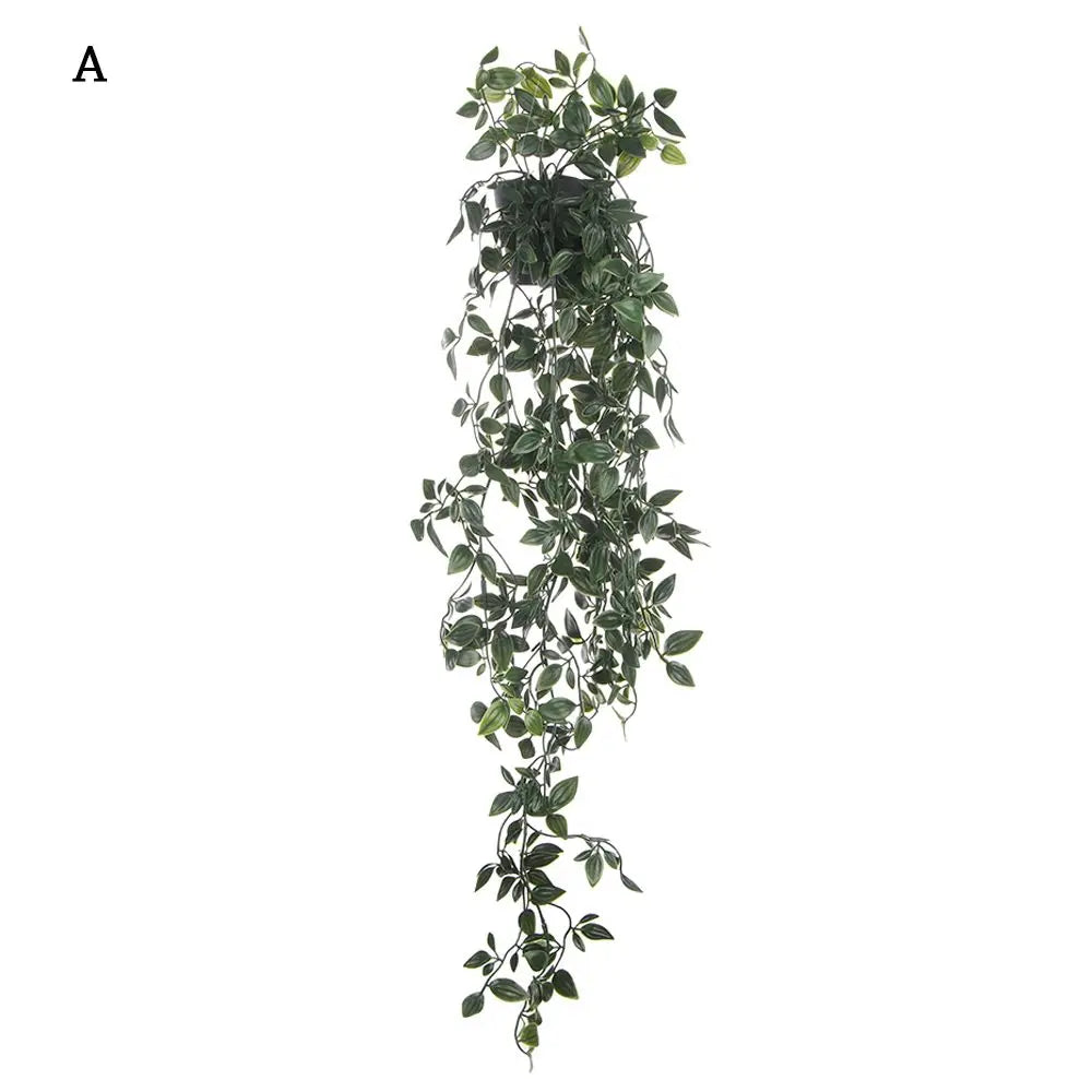 Potted Hanging Vine Plant Display