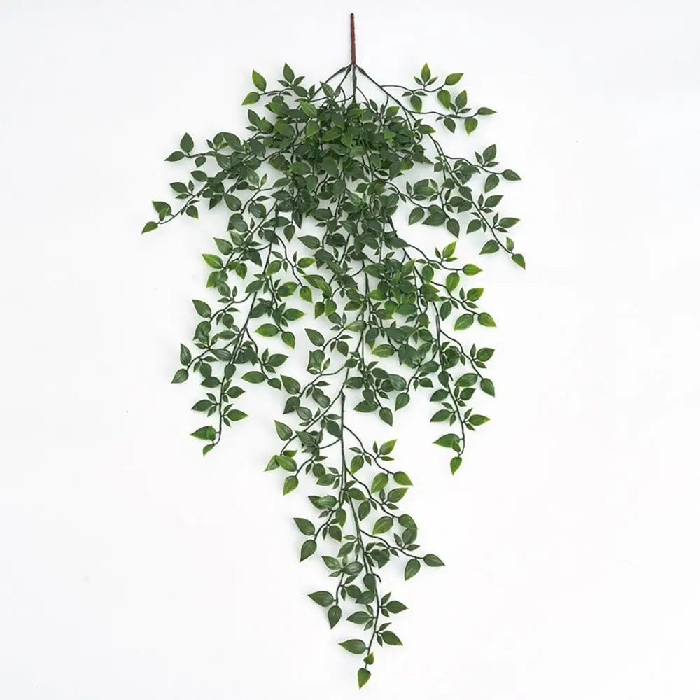 Potted Hanging Vine Plant Display