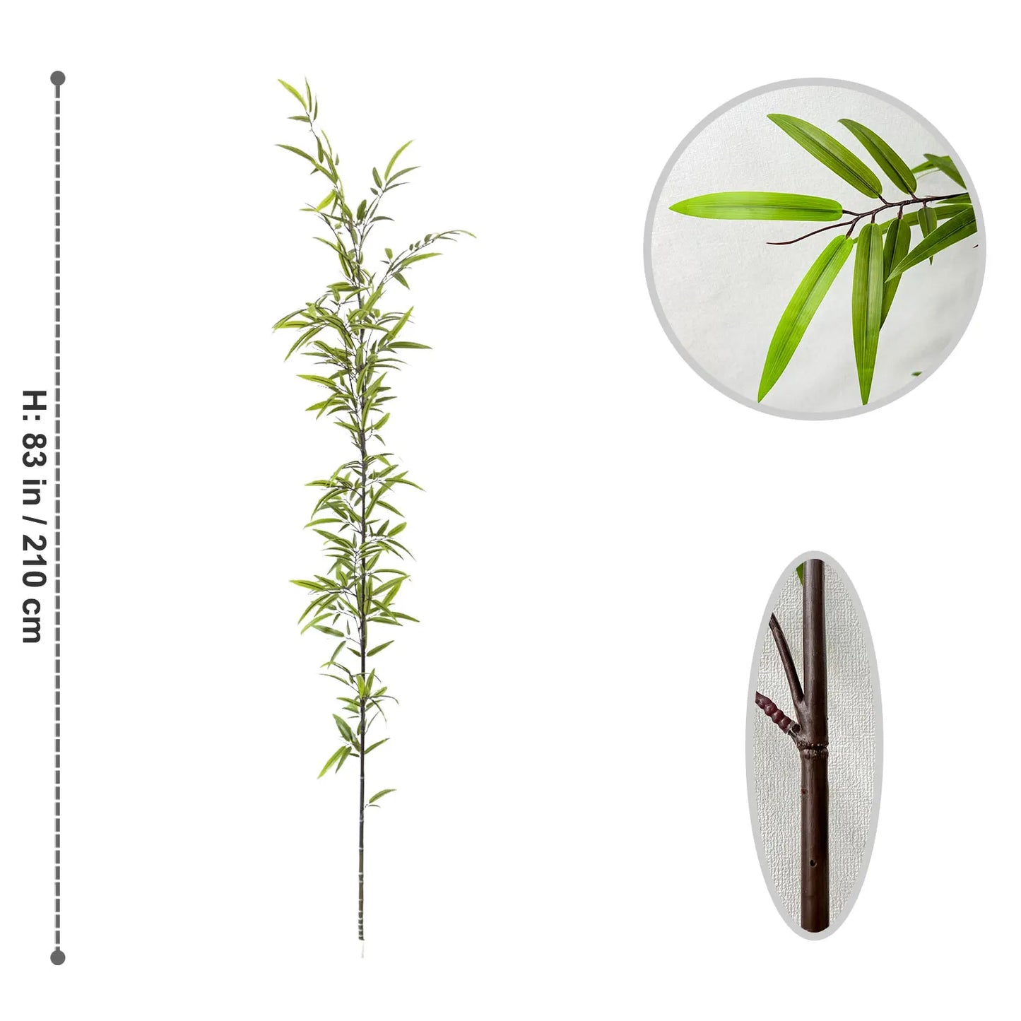 Wild Grove Bamboo Leaves