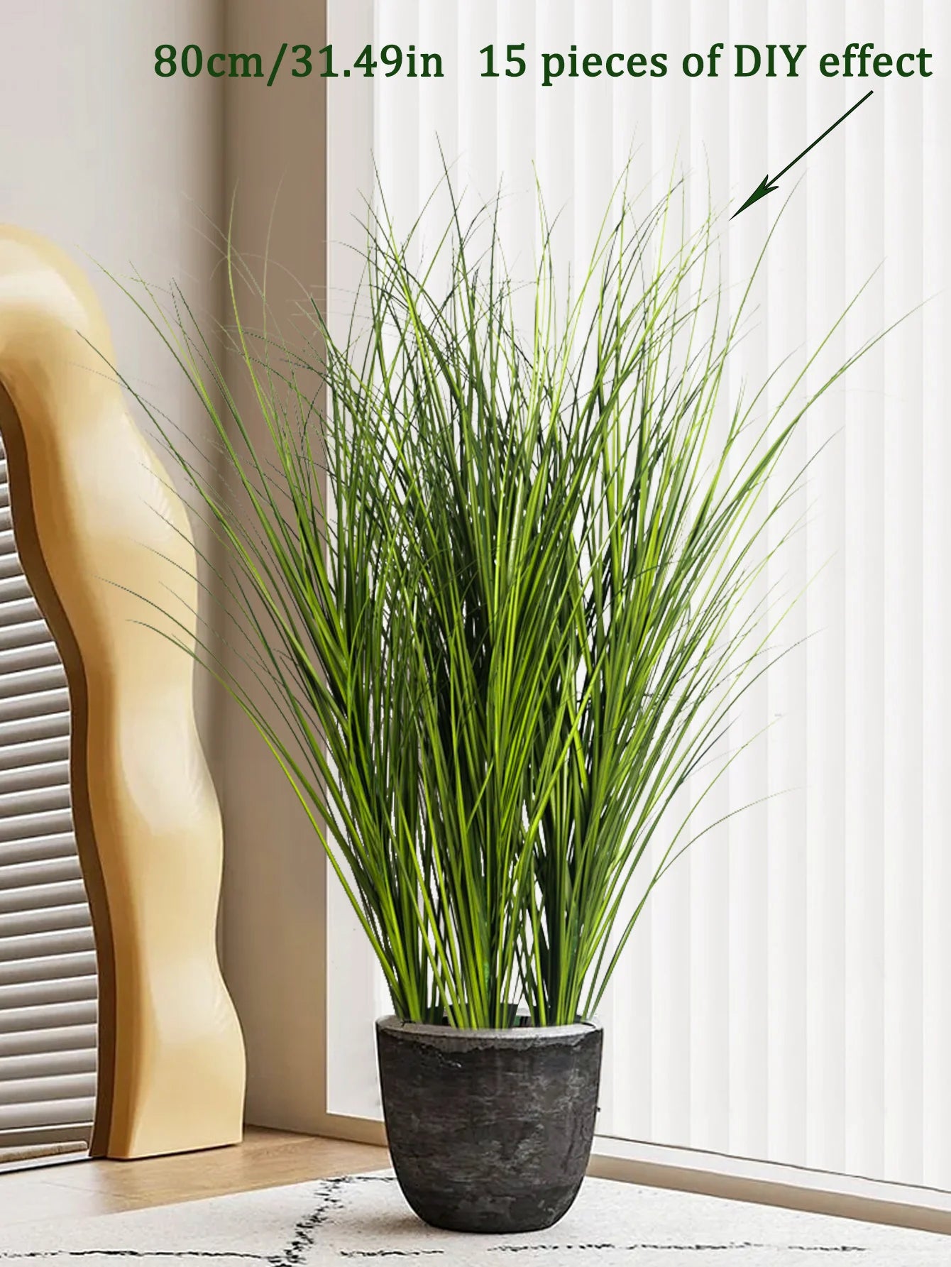 Tropical Grass Plant
