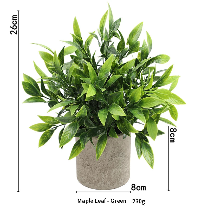 Eucalyptus Mini Planter