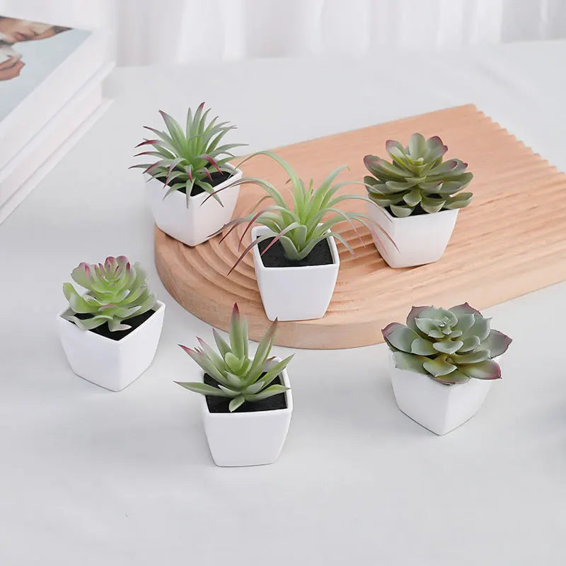 Set of 6 Mini Faux Succulents with Pots
