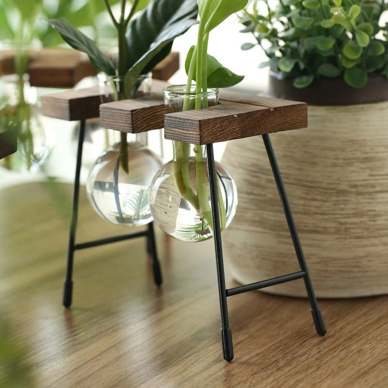 Wooden Frame Glass Bulb Planter Vase