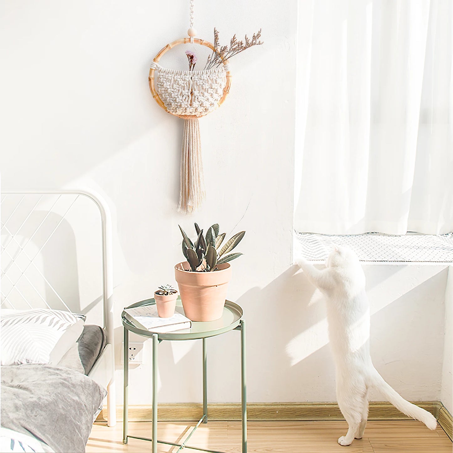 Boho Loom | Woven Wonders for Your Space