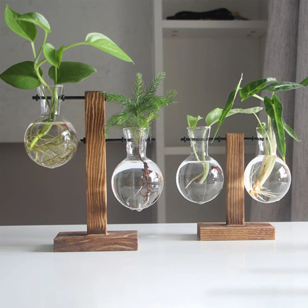 Rustic Glass Bulb Vase with Wooden Frame