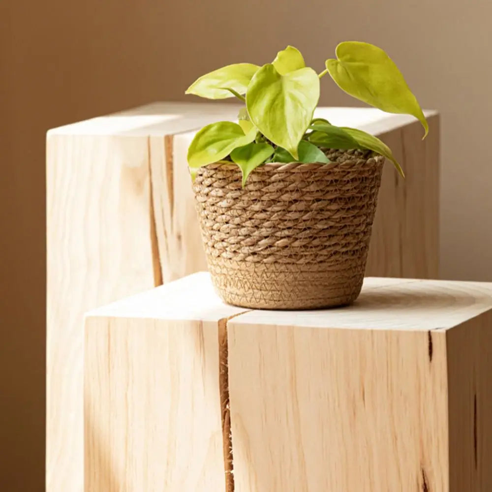 Handwoven Straw Pot Basket